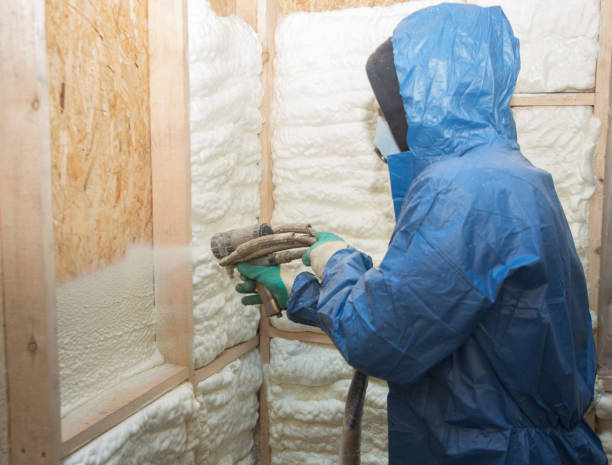 Best Wall Insulation Installation  in Derby, KS